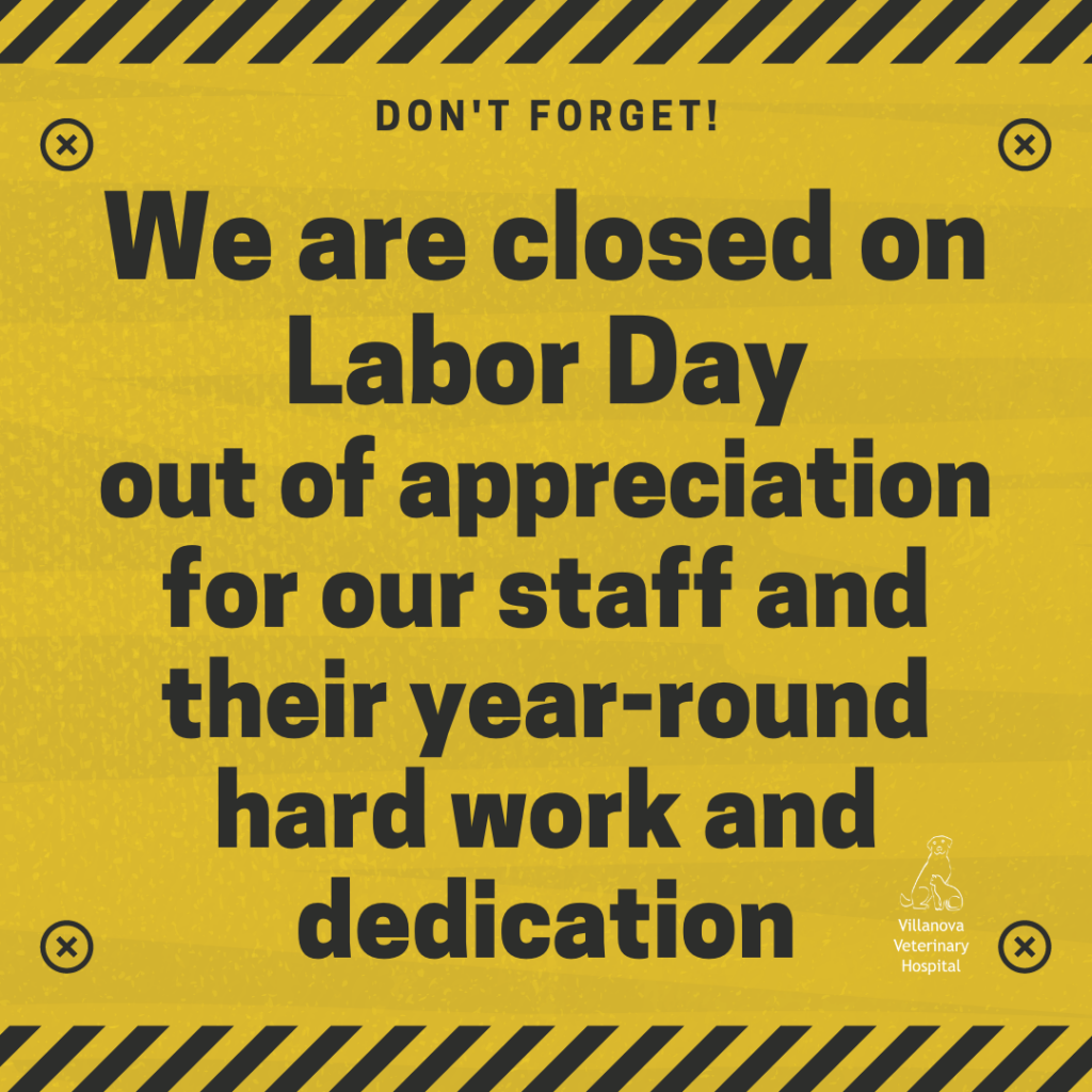 labor-day-closure-villanova-veterinary-hospital