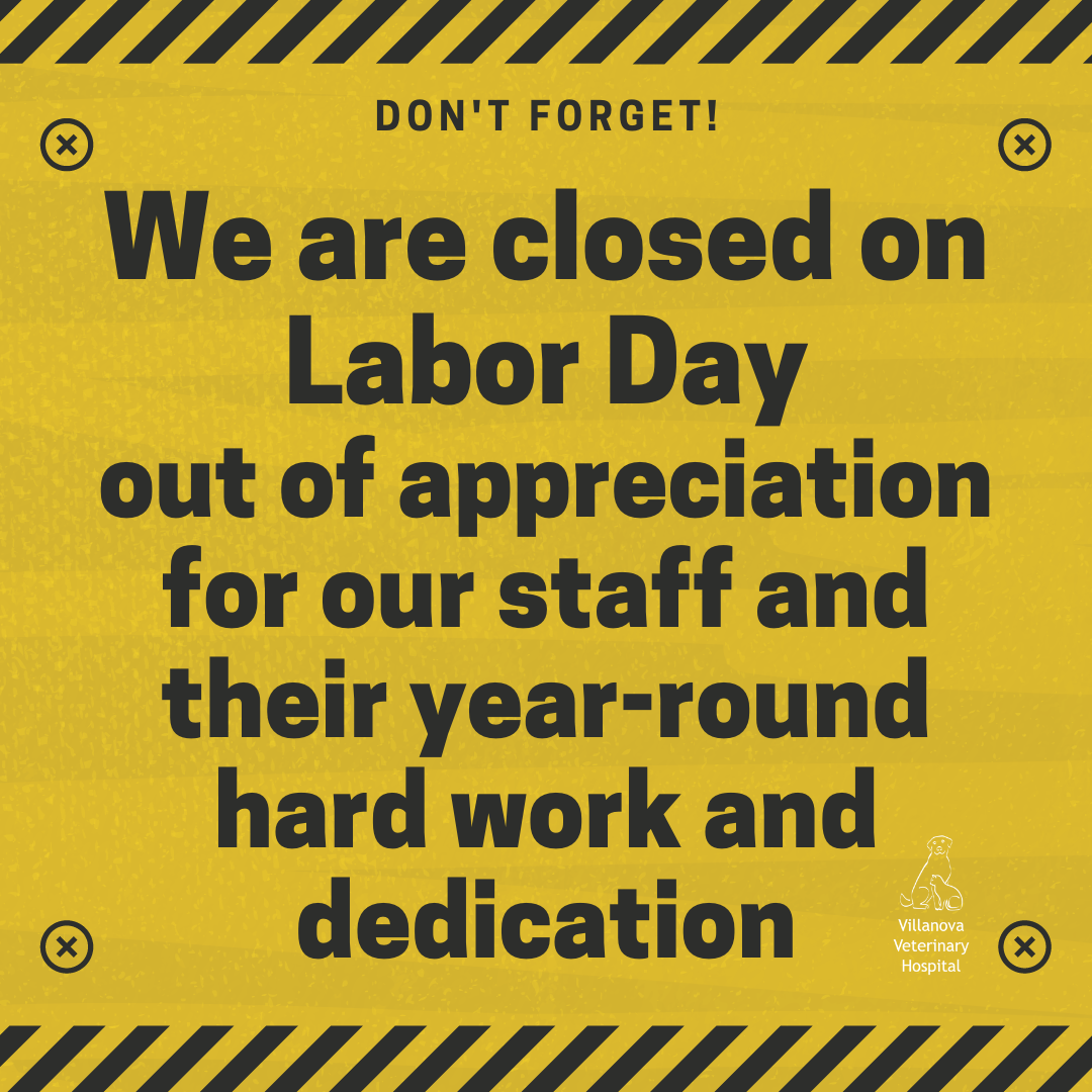 Yellow background with black text stating Labor Day closure