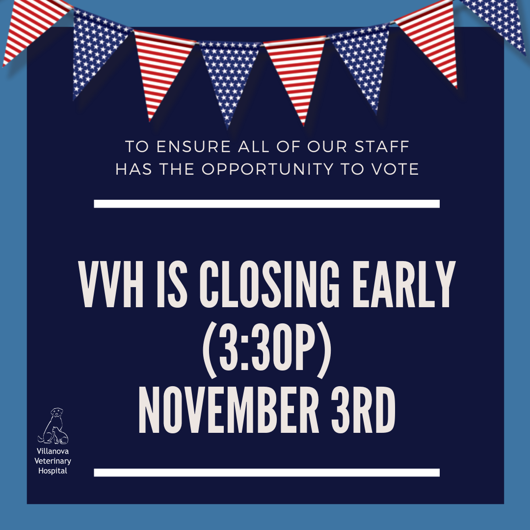 White text on blue background stating "VVH will be closing at 3:30p on November 3rd to ensure all of our staff has the opportunity to vote."