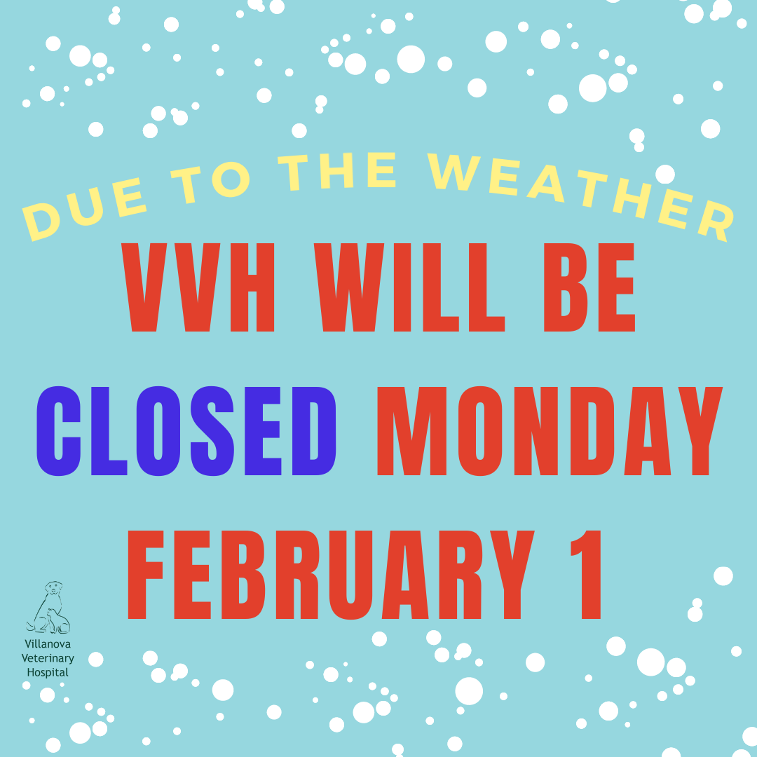 Due to the weather VVH will be closed Monday February 1