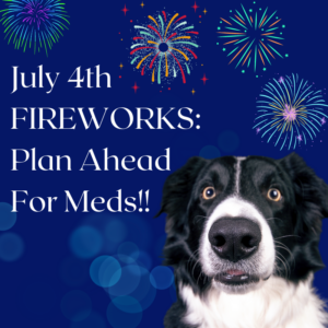 Black & white dog on blue background with fireworks and text July 4th Fireworks: Plan ahead for meds!!