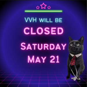 text "VVH will be closed Saturday May 21" on blue background with image of the best black cat with a collar, tie, and stethoscope around his neck